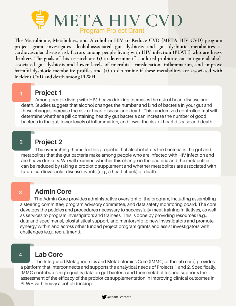META Projects Outline