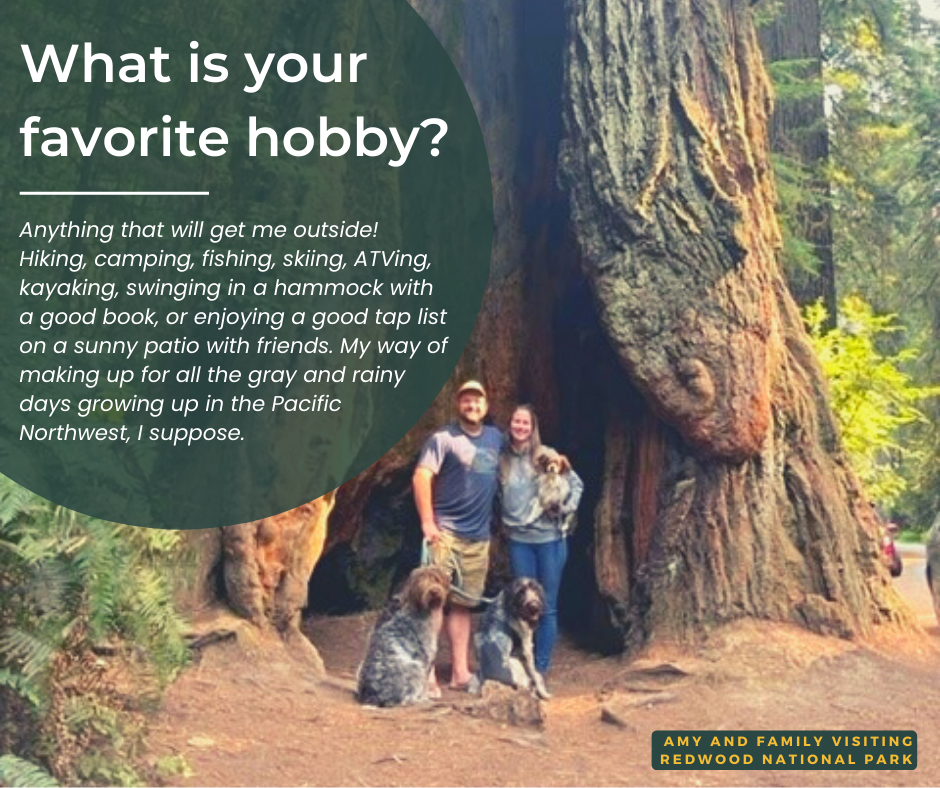 Amy and family visiting Redwood National Park